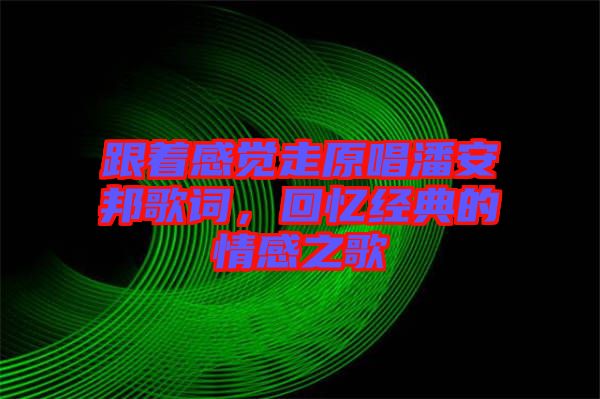跟著感覺走原唱潘安邦歌詞，回憶經(jīng)典的情感之歌