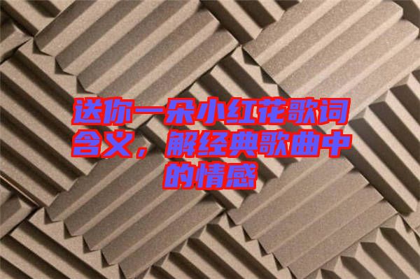 送你一朵小紅花歌詞含義，解經(jīng)典歌曲中的情感