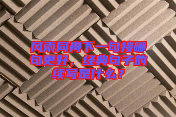 風(fēng)雨同舟下一句接哪句更好，經(jīng)典句子的續(xù)寫(xiě)是什么？