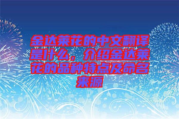 金達(dá)萊花的中文翻譯是什么，介紹金達(dá)萊花的品種特點(diǎn)及命名來(lái)源