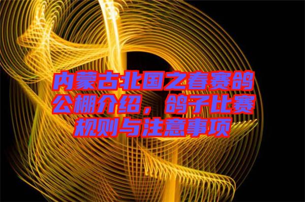 內(nèi)蒙古北國之春賽鴿公棚介紹，鴿子比賽規(guī)則與注意事項
