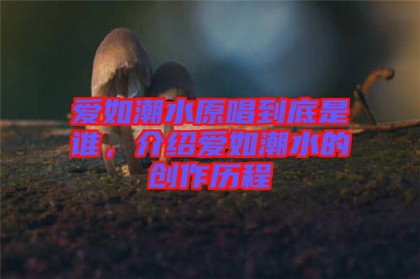 愛如潮水原唱到底是誰，介紹愛如潮水的創(chuàng)作歷程