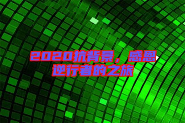 2020抗背景，感恩逆行者的之旅