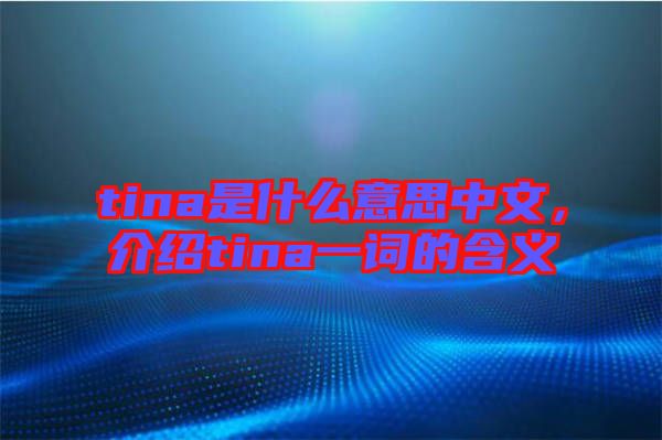 tina是什么意思中文，介紹tina一詞的含義
