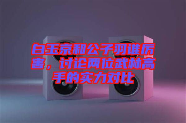 白玉京和公子羽誰厲害，討論兩位武林高手的實力對比