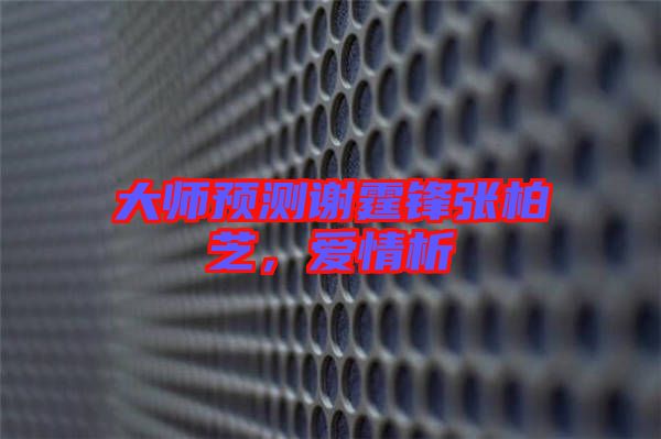 大師預(yù)測(cè)謝霆鋒張柏芝，愛(ài)情析