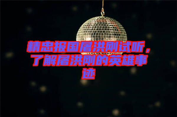 精忠報(bào)國屠洪剛試聽，了解屠洪剛的英雄事跡