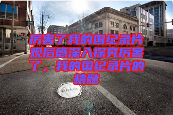 厲害了我的國(guó)紀(jì)錄片觀后感深入探究厲害了，我的國(guó)紀(jì)錄片的精髓