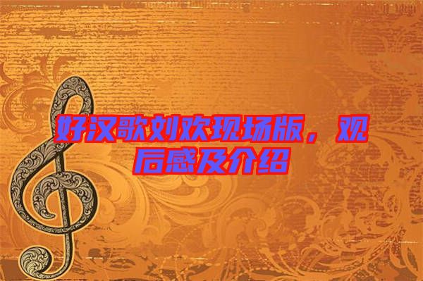 好漢歌劉歡現(xiàn)場(chǎng)版，觀后感及介紹