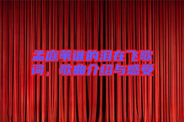 孟庭葦誰的淚在飛歌詞，歌曲介紹與感受