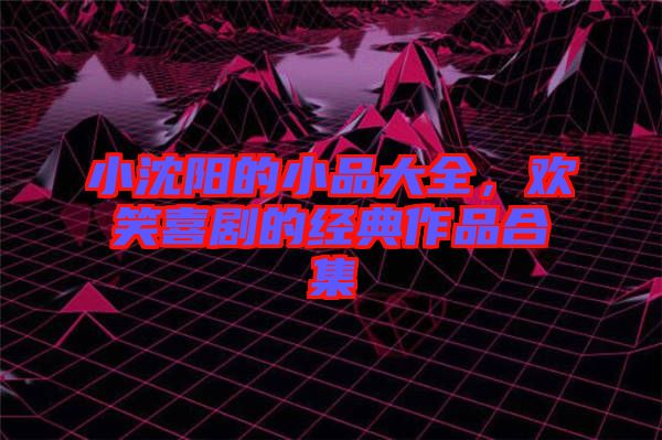 小沈陽的小品大全，歡笑喜劇的經(jīng)典作品合集
