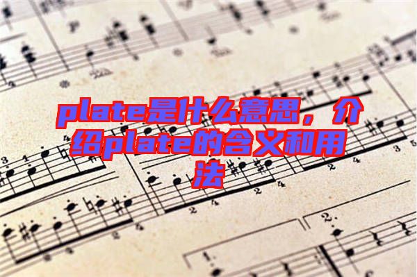 plate是什么意思，介紹plate的含義和用法