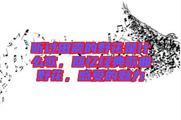 聽過田震的野花是什么歌，回憶經(jīng)典歌曲野花，感受的魅力