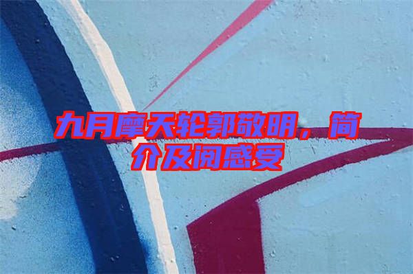 九月摩天輪郭敬明，簡介及閱感受
