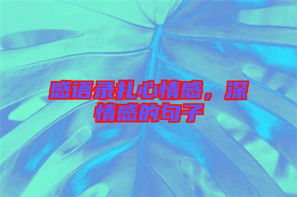 感語錄扎心情感，深情感的句子