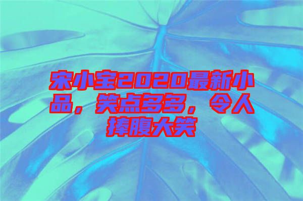 宋小寶2020最新小品，笑點(diǎn)多多，令人捧腹大笑