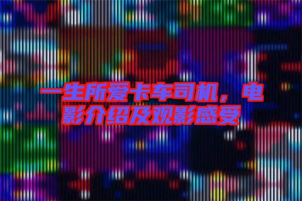 一生所愛(ài)卡車司機(jī)，電影介紹及觀影感受