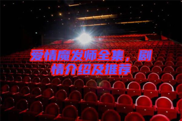 愛情魔發(fā)師全集，劇情介紹及推薦