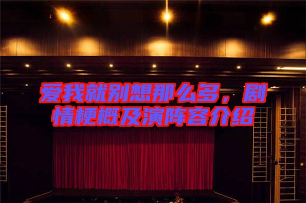 愛我就別想那么多，劇情梗概及演陣容介紹