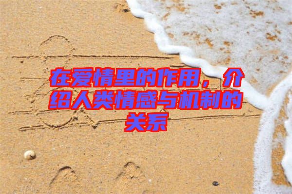 在愛(ài)情里的作用，介紹人類情感與機(jī)制的關(guān)系
