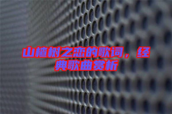 山楂樹之戀的歌詞，經(jīng)典歌曲賞析