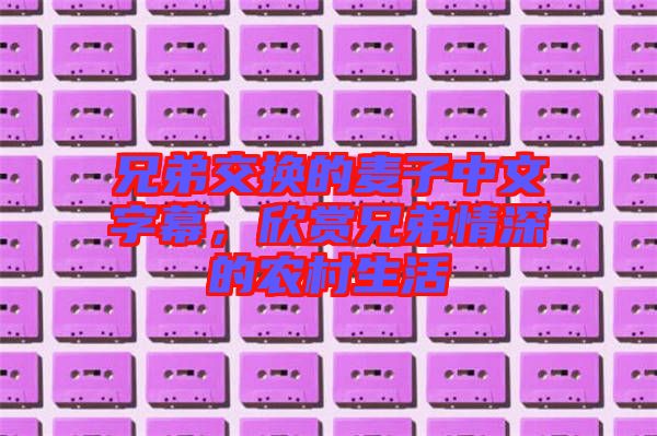 兄弟交換的麥子中文字幕，欣賞兄弟情深的農(nóng)村生活
