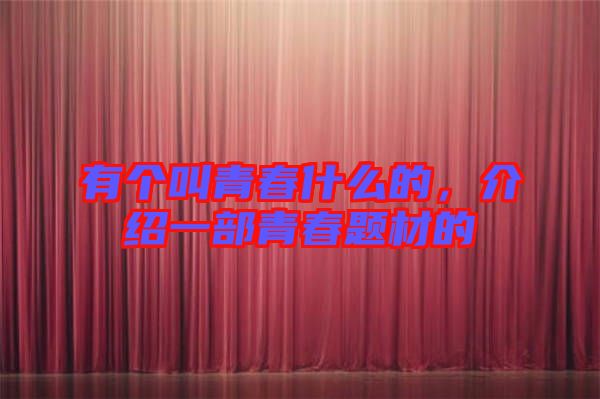 有個叫青春什么的，介紹一部青春題材的
