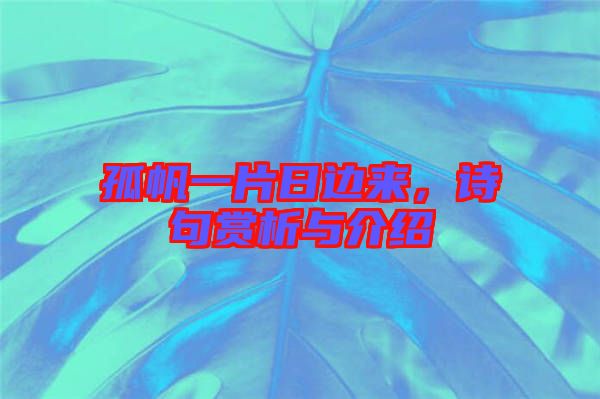 孤帆一片日邊來(lái)，詩(shī)句賞析與介紹