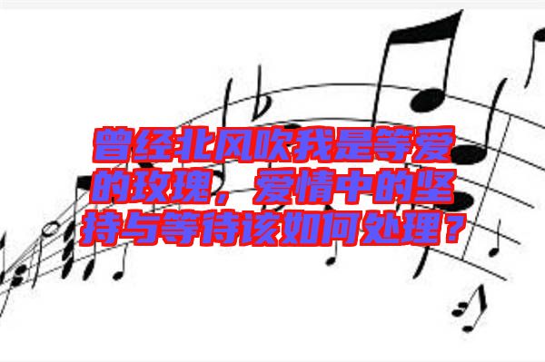 曾經(jīng)北風吹我是等愛的玫瑰，愛情中的堅持與等待該如何處理？