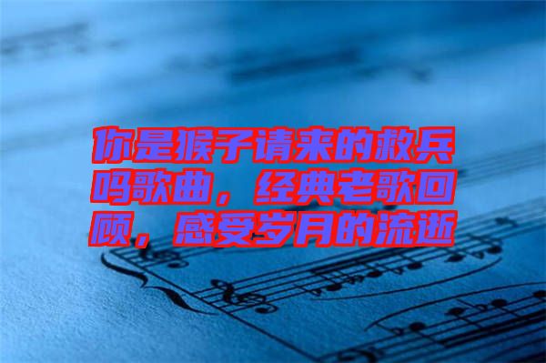 你是猴子請來的救兵嗎歌曲，經(jīng)典老歌回顧，感受歲月的流逝