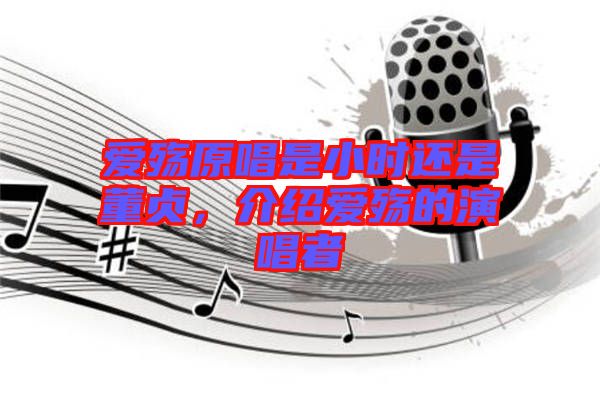 愛殤原唱是小時(shí)還是董貞，介紹愛殤的演唱者