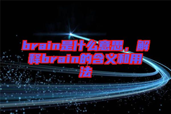 brain是什么意思，解釋brain的含義和用法