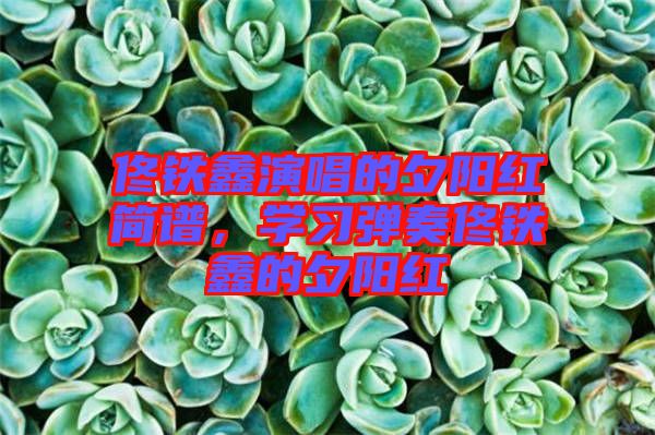 佟鐵鑫演唱的夕陽紅簡譜，學習彈奏佟鐵鑫的夕陽紅