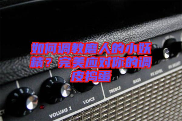 如何調(diào)教磨人的小妖精？完美應對你的調(diào)皮搗蛋