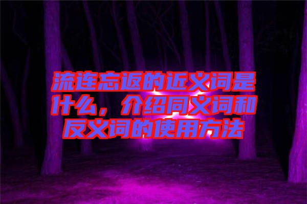 流連忘返的近義詞是什么，介紹同義詞和反義詞的使用方法