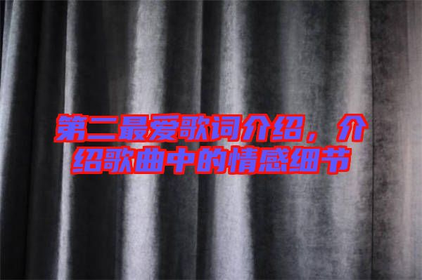 第二最愛(ài)歌詞介紹，介紹歌曲中的情感細(xì)節(jié)