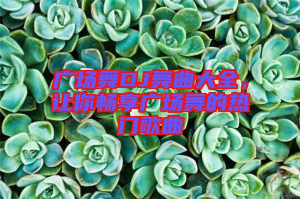 廣場舞DJ舞曲大全，讓你暢享廣場舞的熱門歌曲