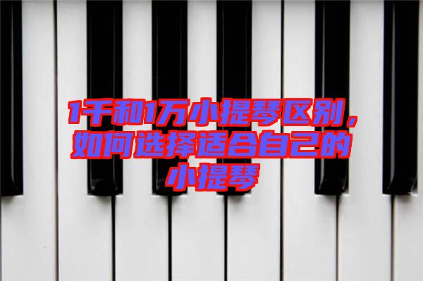 1千和1萬小提琴區(qū)別，如何選擇適合自己的小提琴