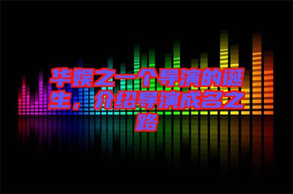 華娛之一個導演的誕生，介紹導演成名之路