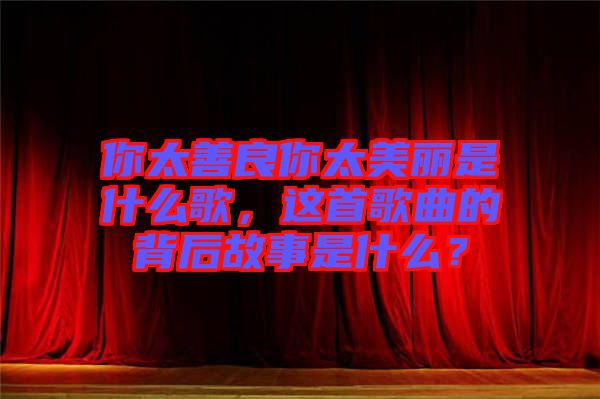 你太善良你太美麗是什么歌，這首歌曲的背后故事是什么？