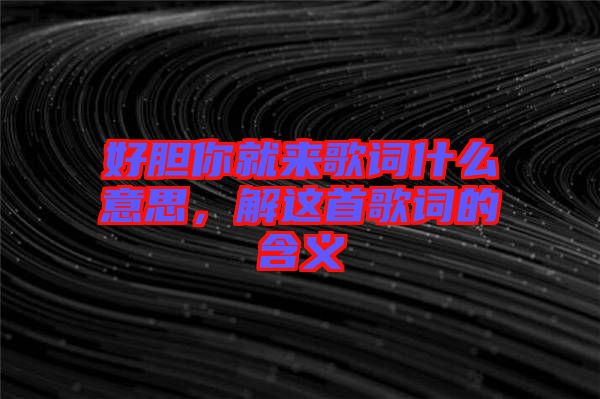 好膽你就來(lái)歌詞什么意思，解這首歌詞的含義