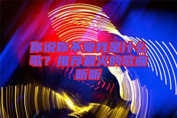 你說你不愛我是什么歌？推薦最火的歌曲聽聽