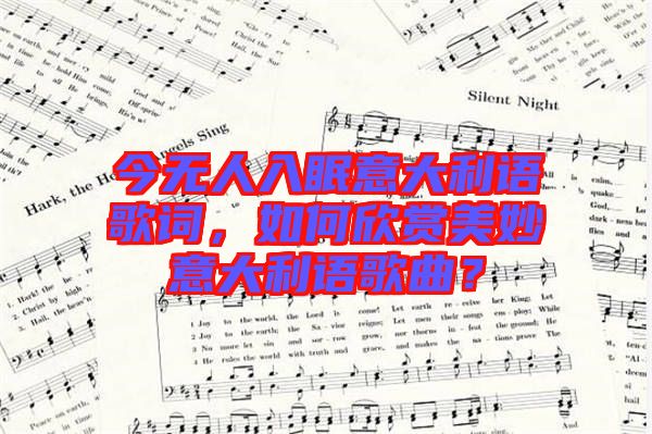 今無(wú)人入眠意大利語(yǔ)歌詞，如何欣賞美妙意大利語(yǔ)歌曲？