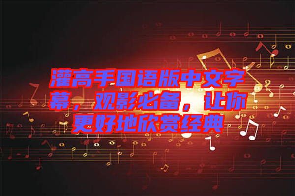 灌高手國語版中文字幕，觀影必備，讓你更好地欣賞經(jīng)典
