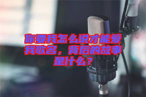 你要我怎么說才能愛我歌名，背后的故事是什么？