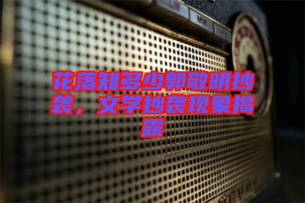 花落知多少郭敬明抄襲，文學(xué)抄襲現(xiàn)象揭露