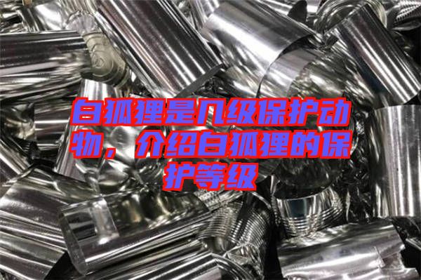 白狐貍是幾級保護動物，介紹白狐貍的保護等級