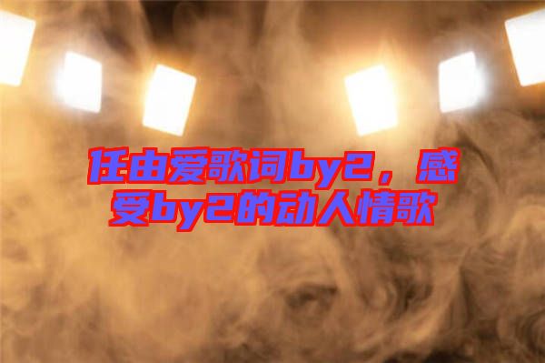 任由愛(ài)歌詞by2，感受by2的動(dòng)人情歌