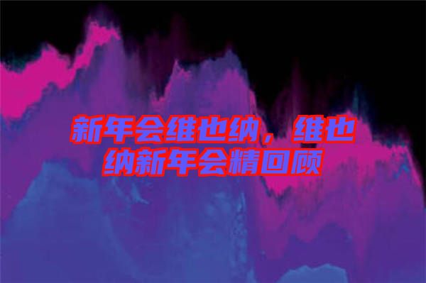 新年會(huì)維也納，維也納新年會(huì)精回顧