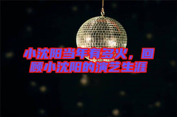 小沈陽當(dāng)年有多火，回顧小沈陽的演藝生涯